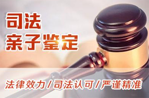 河北省司法亲子鉴定需要怎么做,河北省司法DNA鉴定如何收费