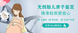 河北省怀孕亲子鉴定办理流程专家咨询