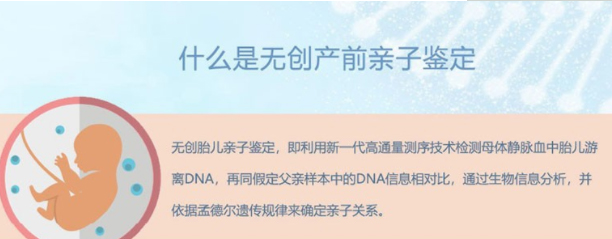 刚怀孕河北省如何办理产前亲子鉴定,河北省做怀孕亲子鉴定结果会不会有问题