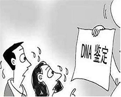 河北省司法DNA亲子鉴定收费明细，河北省司法亲子鉴定如何做